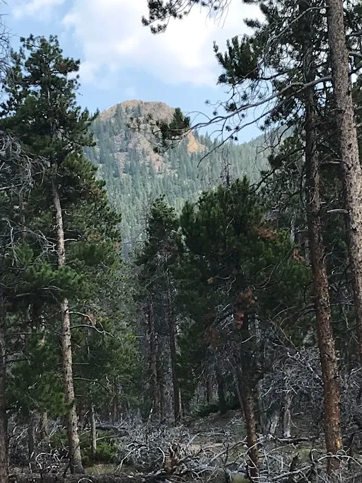 Wind River Bluff Picture 9