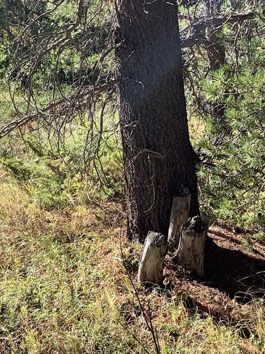 Wind River Bluff Picture 5