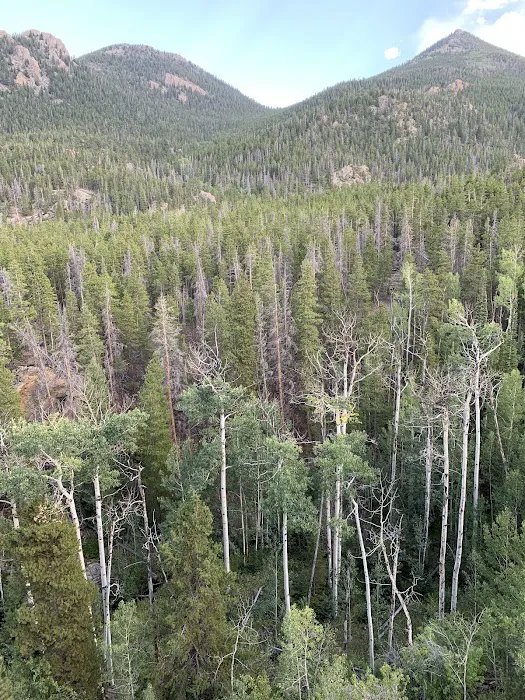 Wind River Bluff Picture 4
