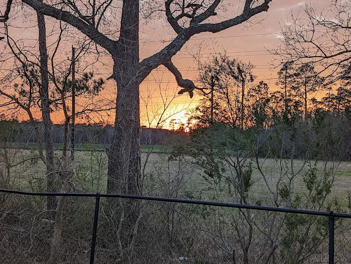 Bayou Bend RV Resort Picture 1
