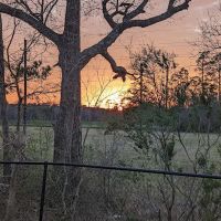 Bayou Bend RV Resort ico