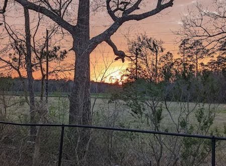 Bayou Bend RV Resort
