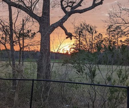Bayou Bend RV Resort