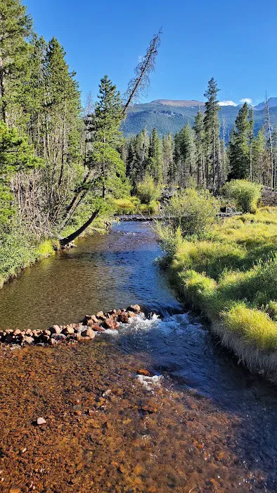 Glacier Basin Campground Picture 4