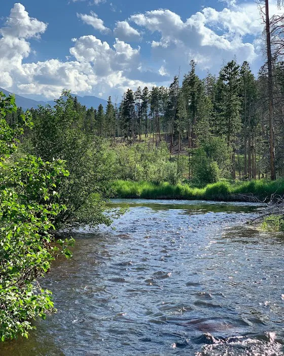 Glacier Basin Campground Picture 9
