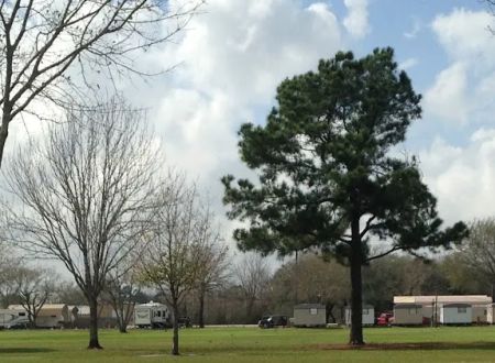 Bayou Country RV Park