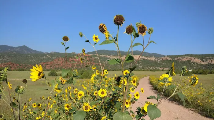 Sand Gulch Campground Picture 1