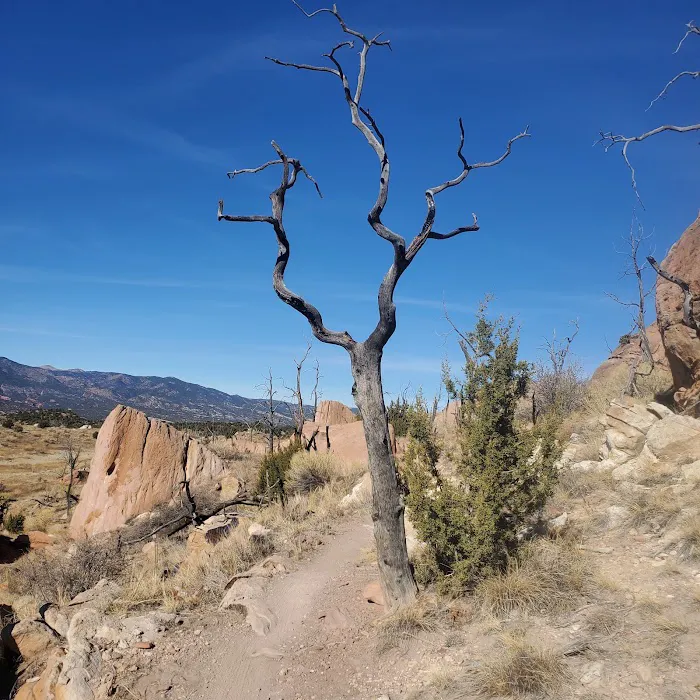 Oil Well Flats Trail System Picture 7