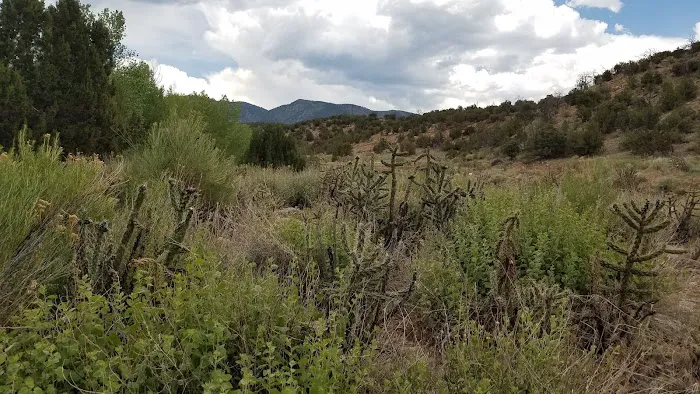 Oil Well Flats Trail System Picture 5