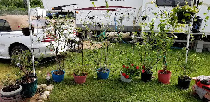 Hunter's RV Park: Office Picture 7