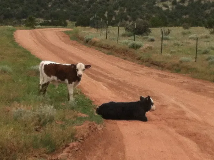Indian Springs Ranch Campground Picture 8