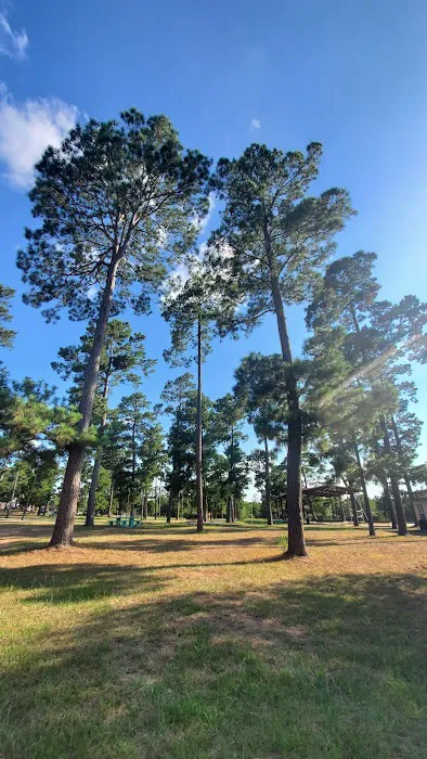 Camp Lost Pines Picture 9