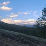 Twin Lakes Area North