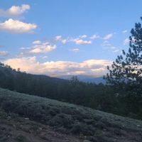 Twin Lakes Area North ico