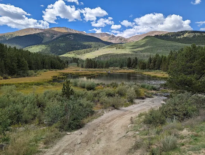 Twin Lakes Area North Picture 10