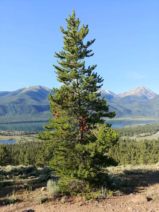 Lakeview Campground Picture 5