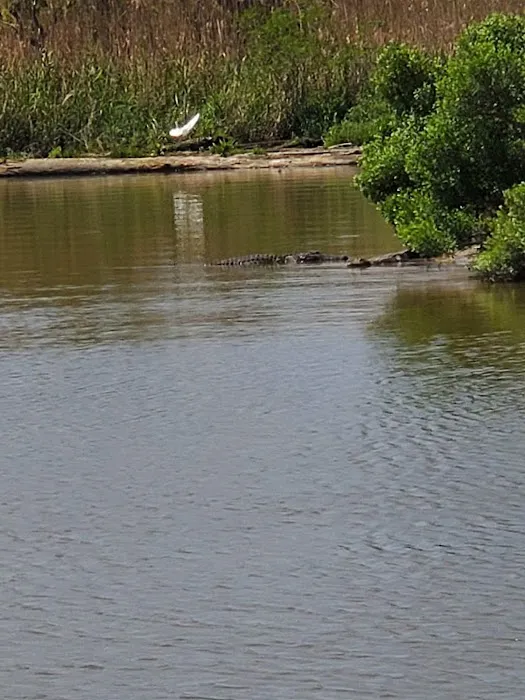 Alligator Alley RV Park Picture 3