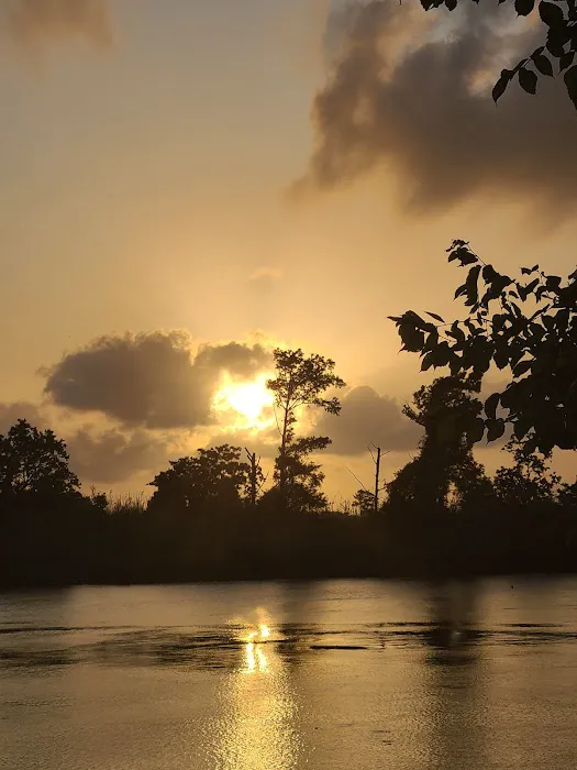 Alligator Alley RV Park Picture 2