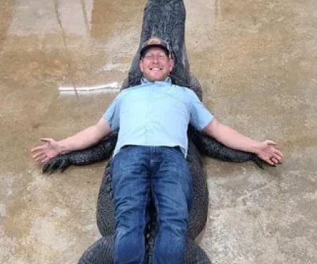 Alligator Alley RV Park
