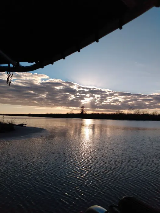 Alligator Alley RV Park Picture 4