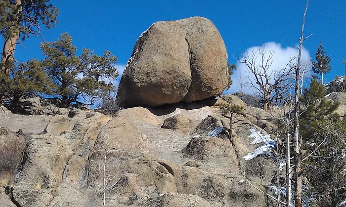 Fourmile Travel Management Area Picture 4