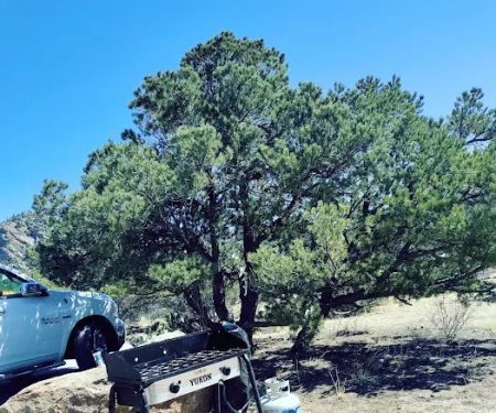 Turtle Rock Campground