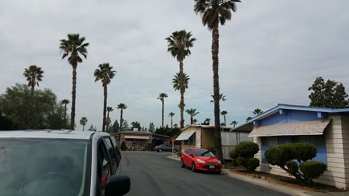 Las Palmas Estates Picture 4
