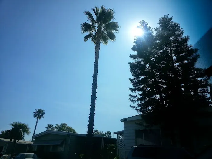 Las Palmas Estates Picture 1
