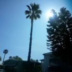 Las Palmas Estates