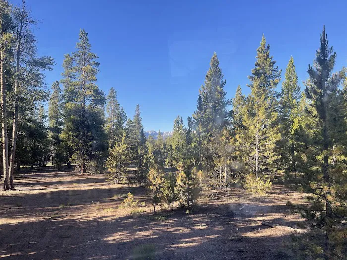 lodgepole flats 130S Picture 1