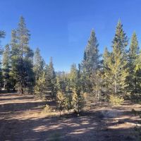 lodgepole flats 130S ico