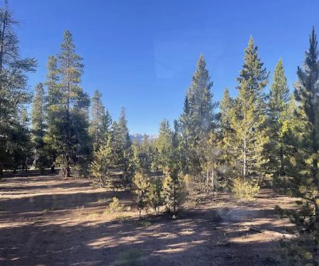 lodgepole flats 130S