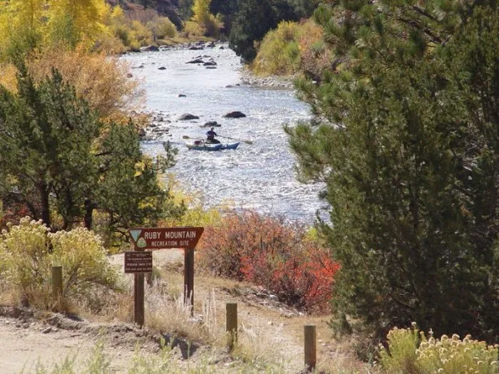 Ruby Mountain Campground Picture 3