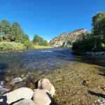 Ruby Mountain Campground