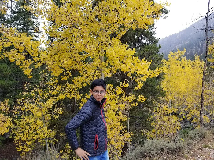 Parry Peak Campground Picture 9