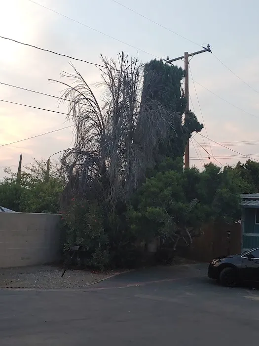El Dorado Mobile Home Park Picture 6