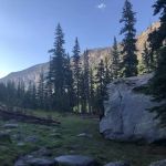 Timberline Group