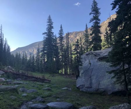 Timberline Group