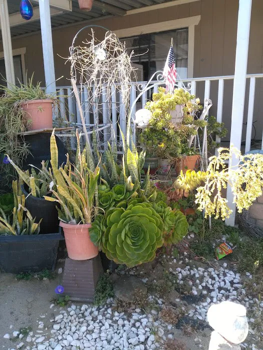 RANCHO MERIDIAN MOBILE ESTATE Picture 6