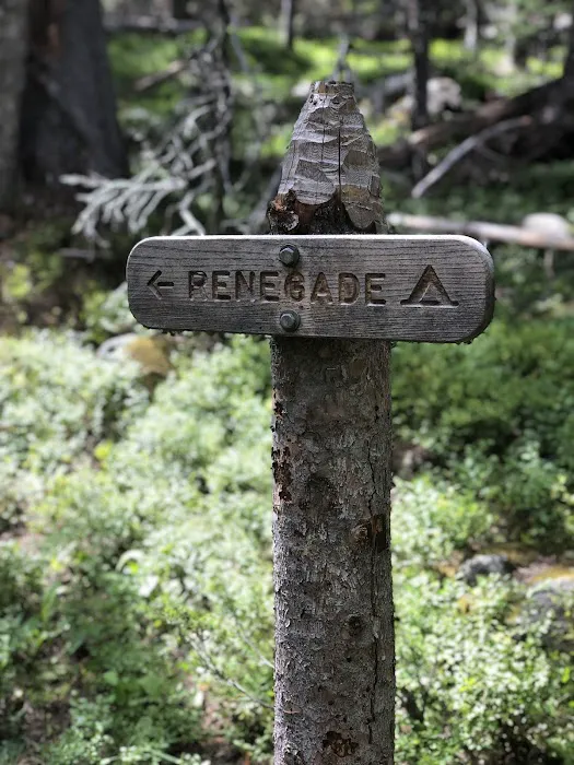 Renegade Picture 4
