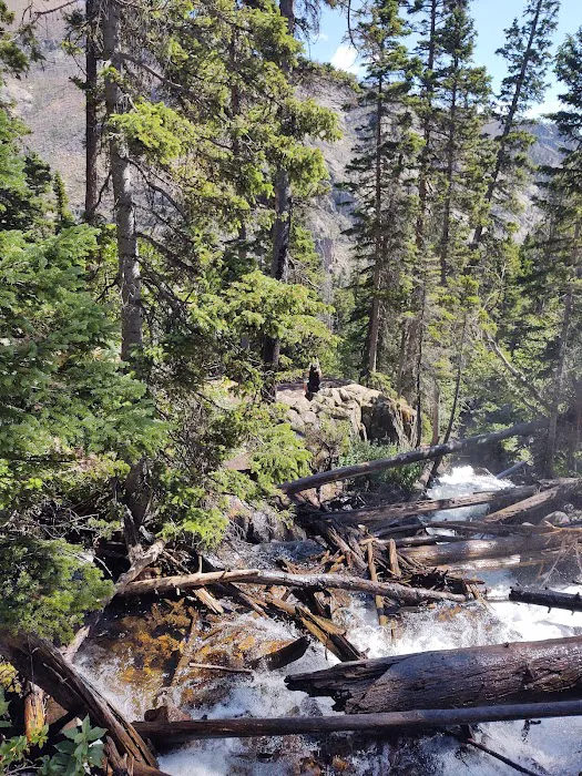 Fern Lake Picture 6