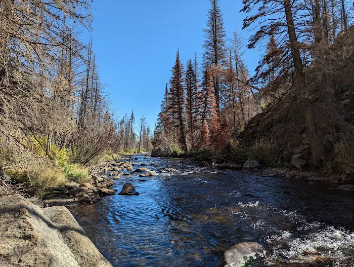 Fern Lake Picture 1