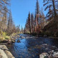 Fern Lake ico