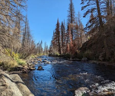 Fern Lake