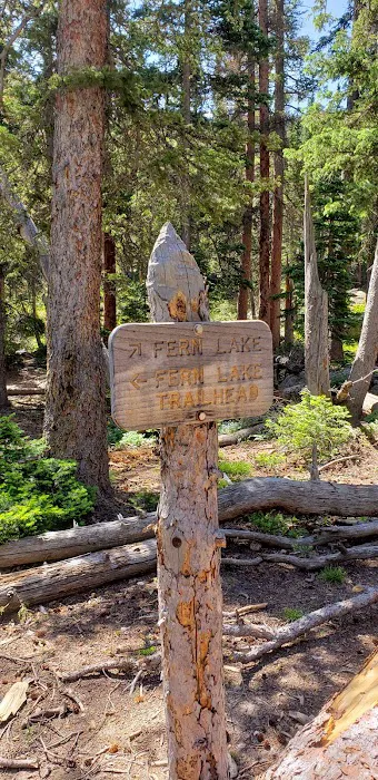 Fern Lake Picture 4