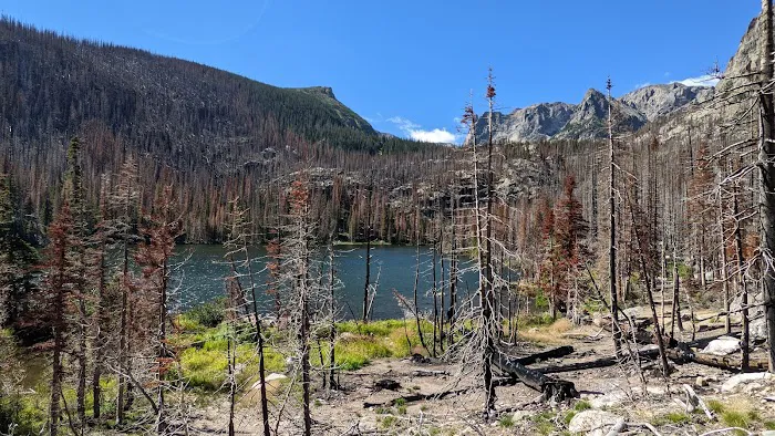 Fern Lake Picture 5