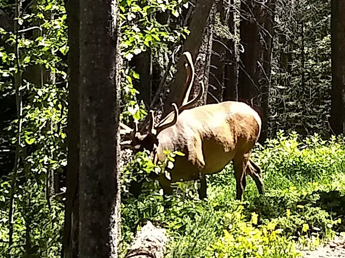 Upper Mill Creek Picture 2