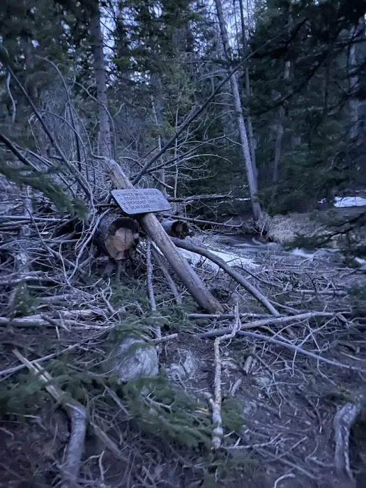 Upper Mill Creek Picture 1