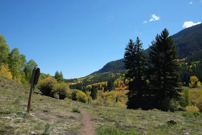 Upper Mill Creek Picture 5
