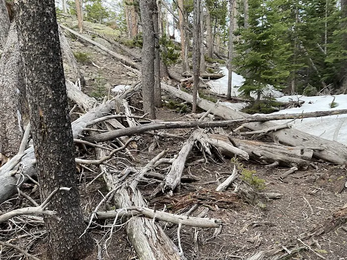 Upper Mill Creek Picture 3
